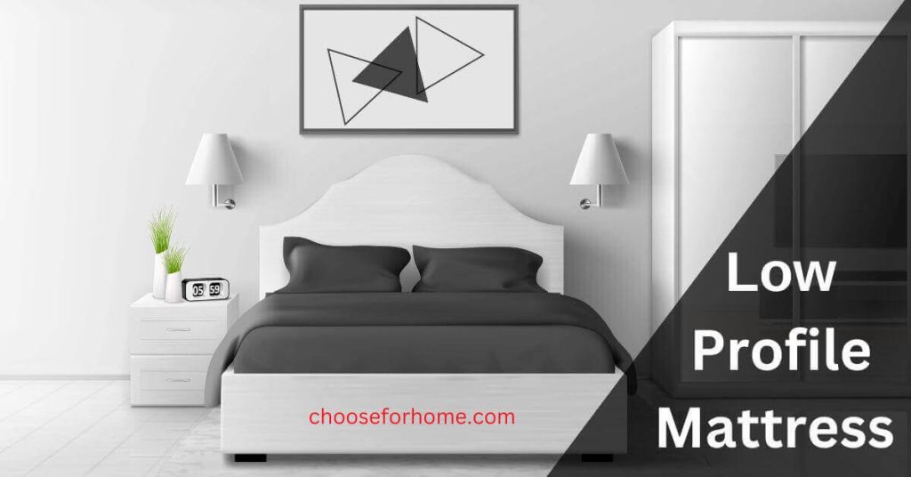 <strong>What is a low-profile mattress? Its pros and cons The aspects</strong>“><br />
                                </a><!-- .elementskit-entry-thumb END --><br />
													<!-- .elementskit-entry-header END --></p>
<h2>
					<a href=